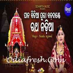 Paana Bidiaa Puri Badadande Ratha Nadhia